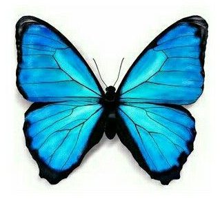 Dr Thiru's Palliative Care Blog